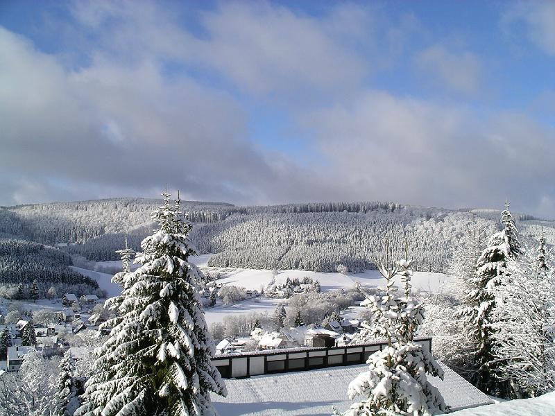 Winter 19.jpg